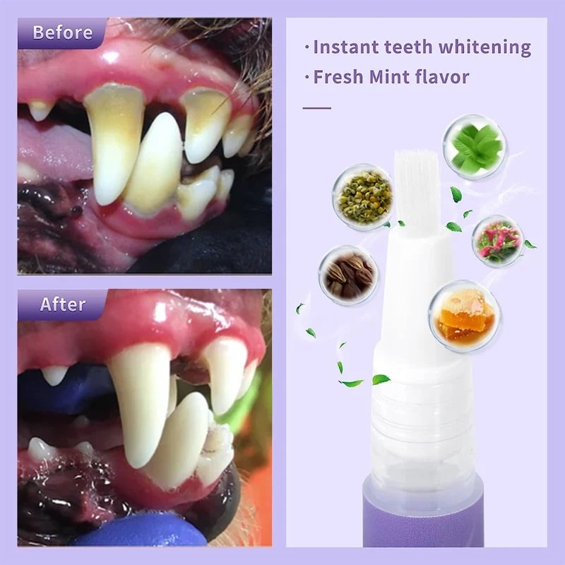 Besty Dog Tooth Repair Gel