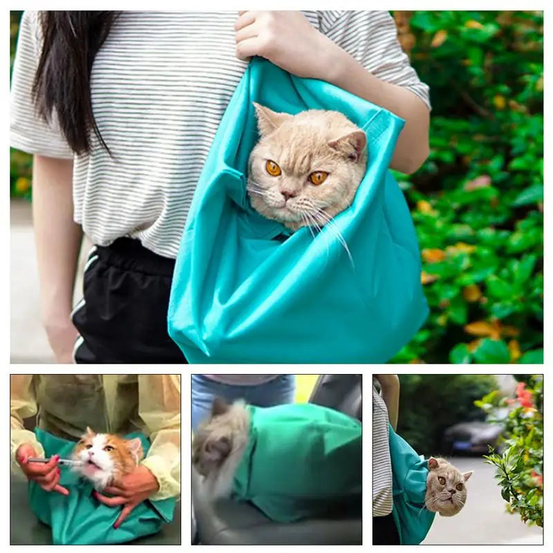 Cozy Cat Travel Companion