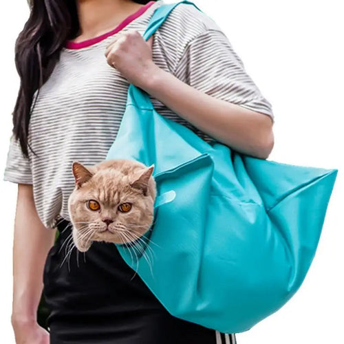 Cozy Cat Travel Companion