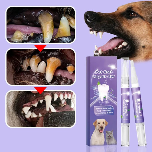 Besty Dog Tooth Repair Gel